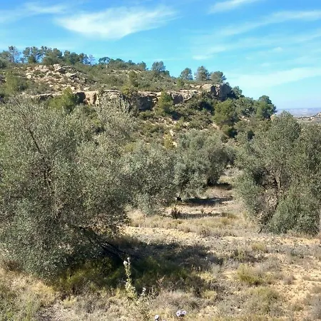 Caravan La Vida Rustica *