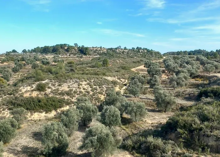 Caravan La Vida Rustica