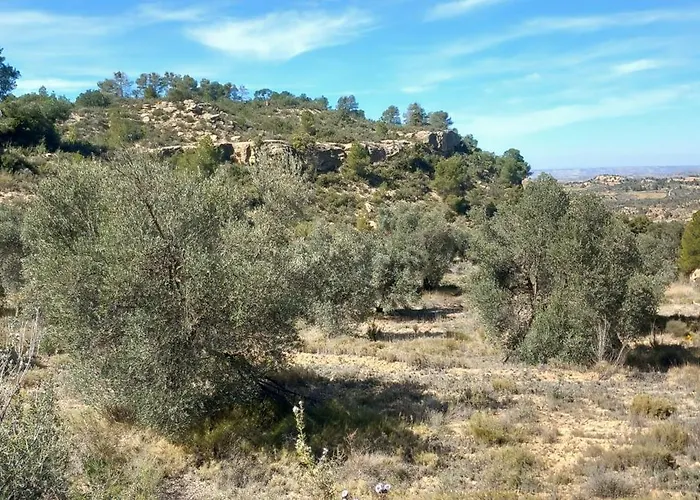 Caravan La Vida Rustica *